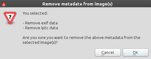 Remove metadata - verify if user really wants this
